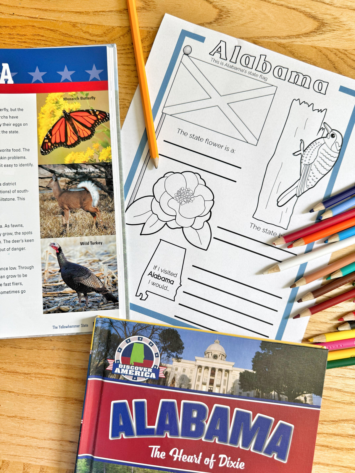 Learn + PLAY USA: Exploring Our Great 50 States UPDATED