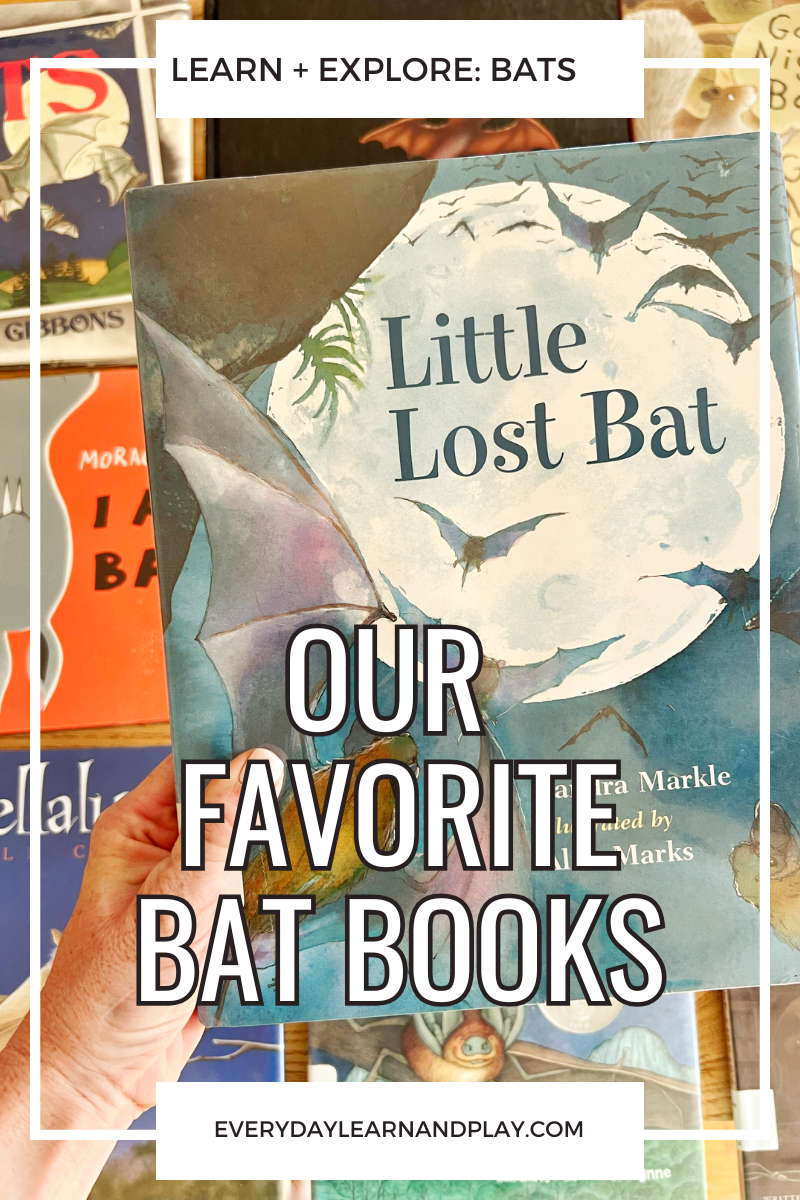 Our Favorite Bat Books