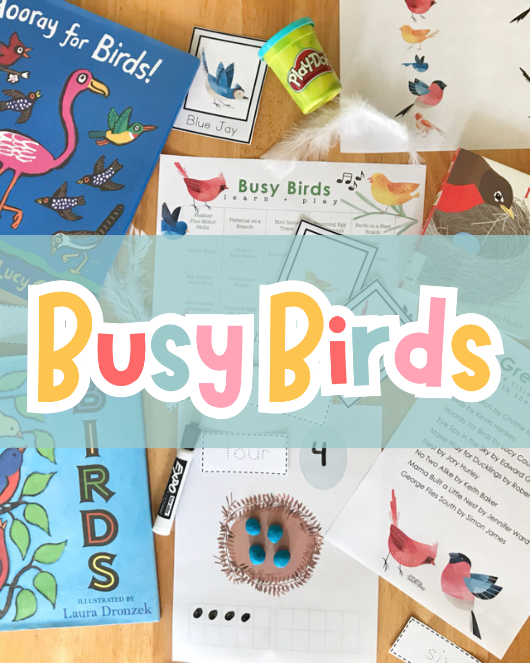 Busy Birds