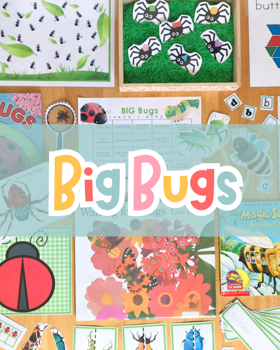 Big Bugs