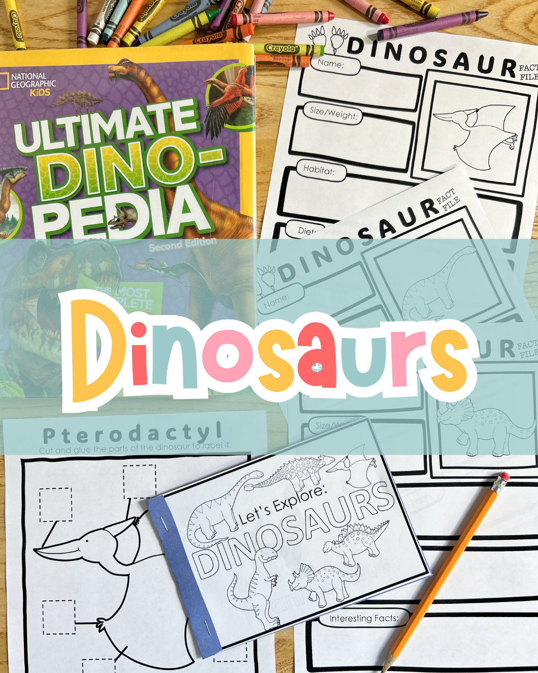 Dino Dig