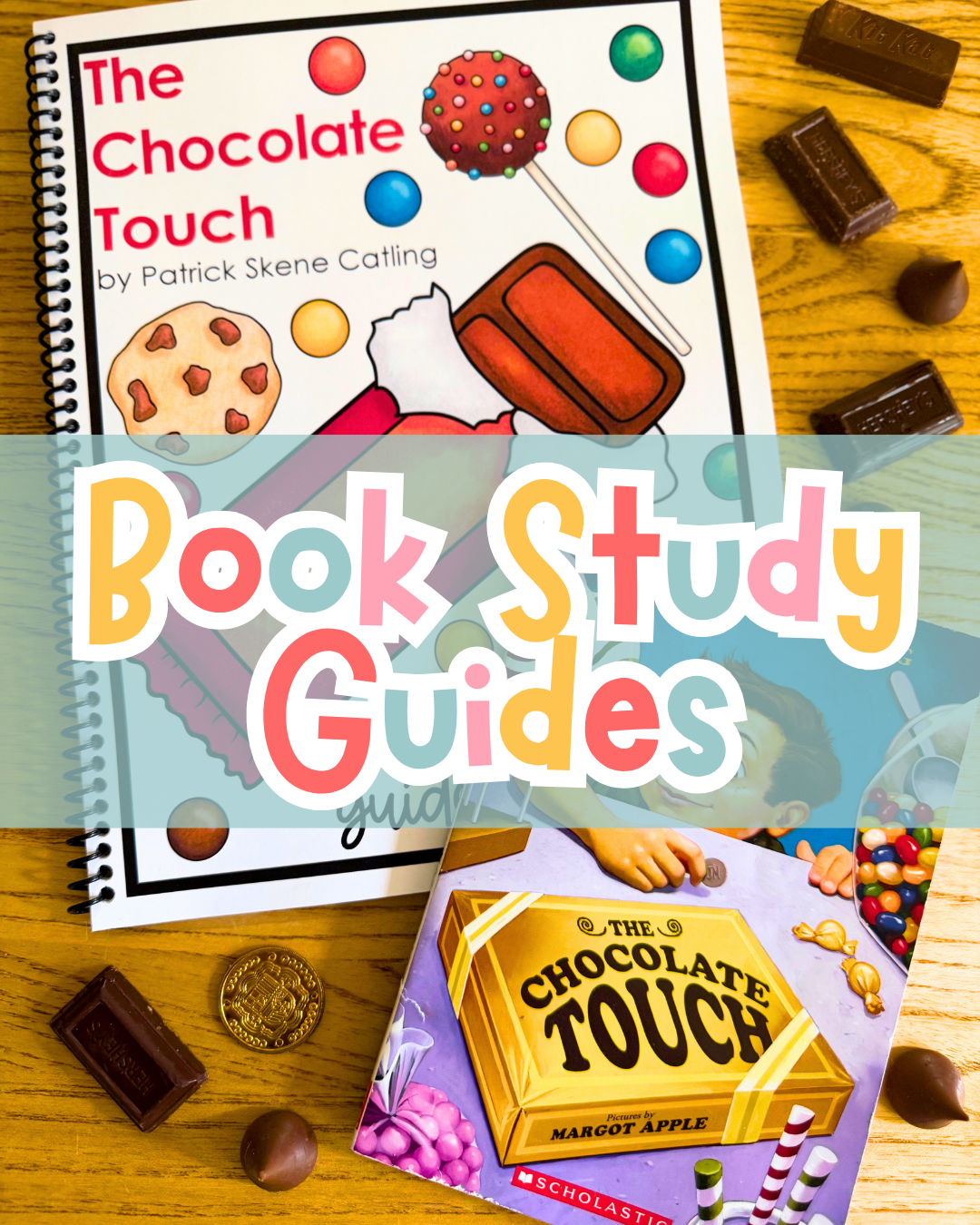 Book Study Guides