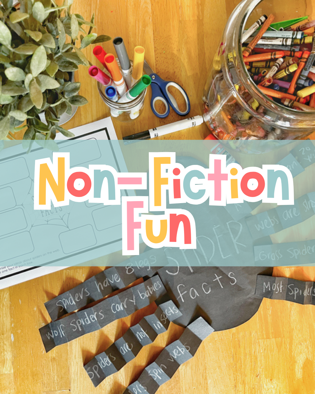 Non Fiction Projects