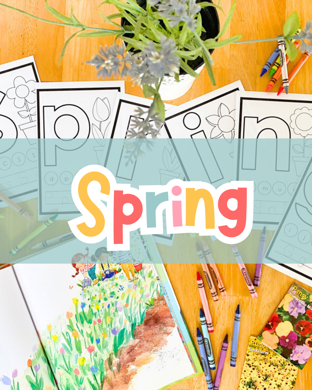 Spring