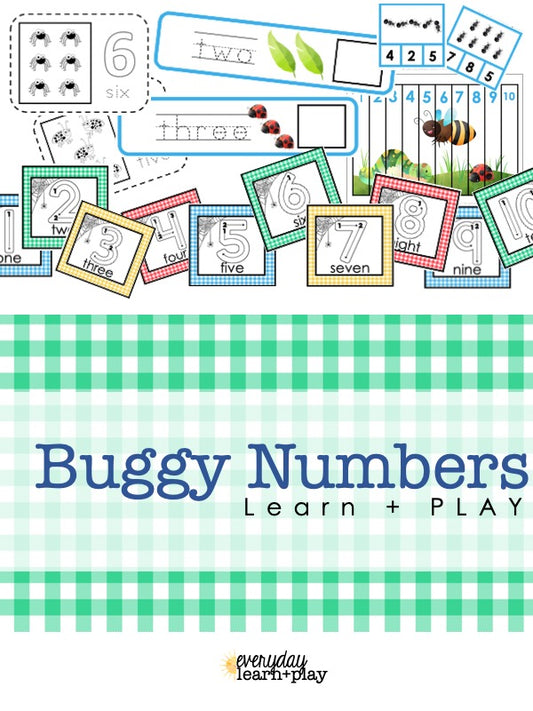 Buggy Numbers Learn + PLAY Set