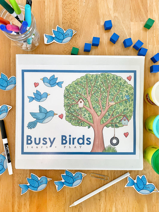 Busy Birds Learn + PLAYmat