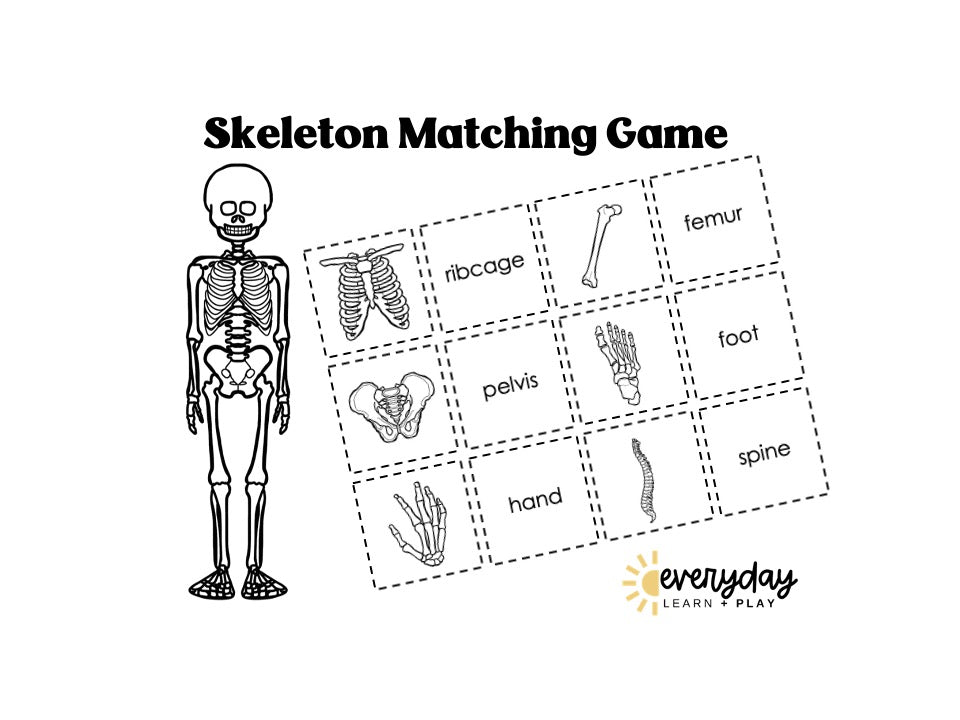 Skeleton Matching Game – Everyday Learn + PLAY