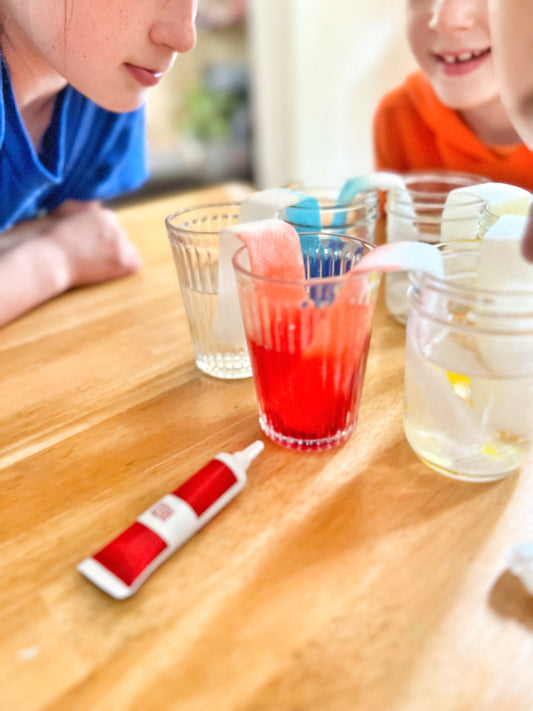 Summer STEM - 10 Experiments You CAN DO at Home