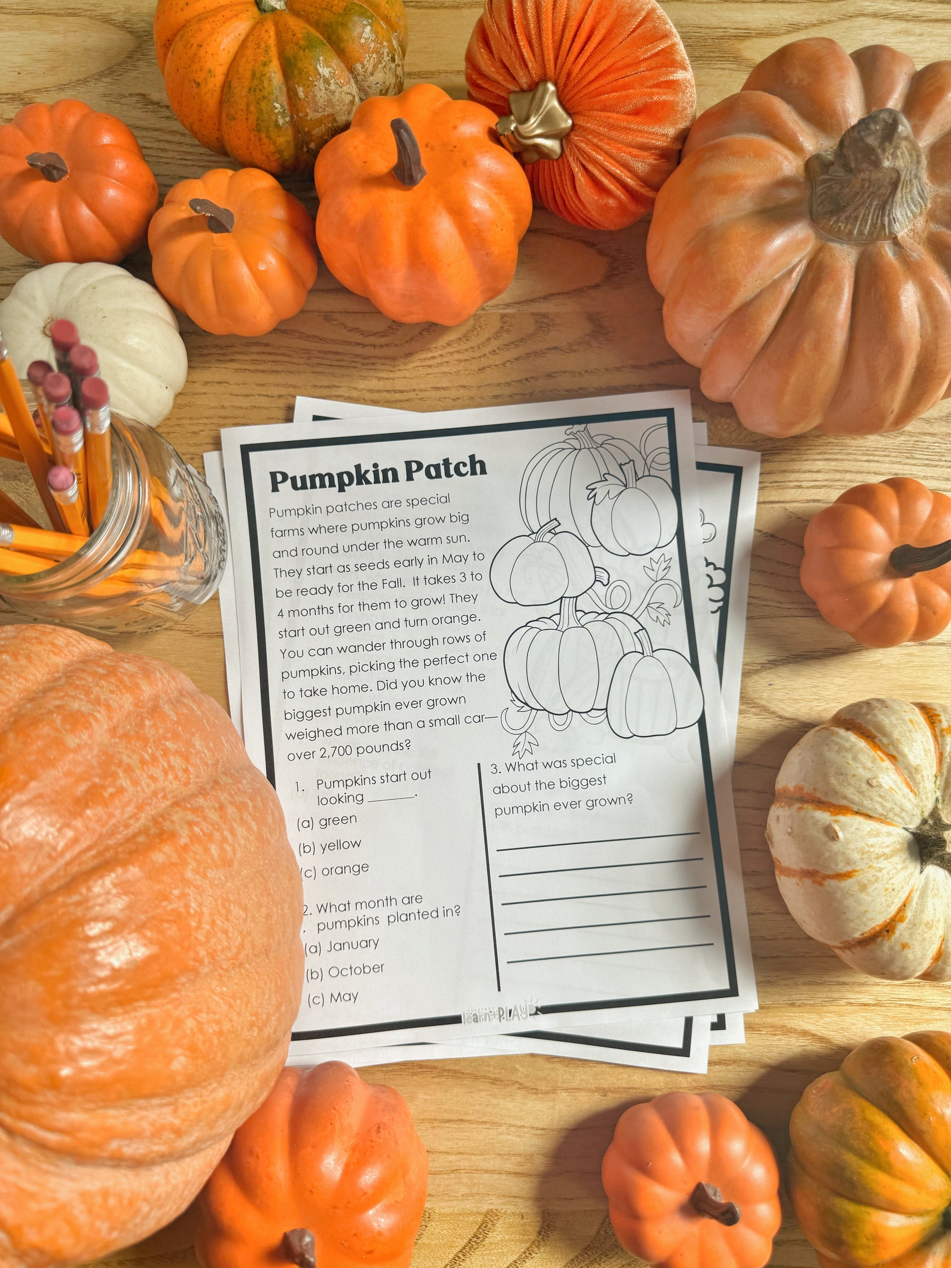 Fall Reading Comprehension Passages – Everyday Learn + PLAY