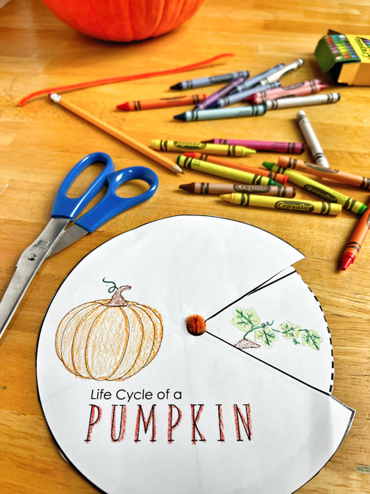 Pumpkin Day Preview: Life Cycle Spinner