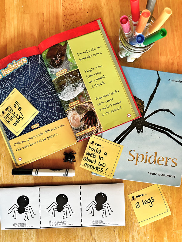 Learn + Explore: Spiders, an Elementary Unit Study