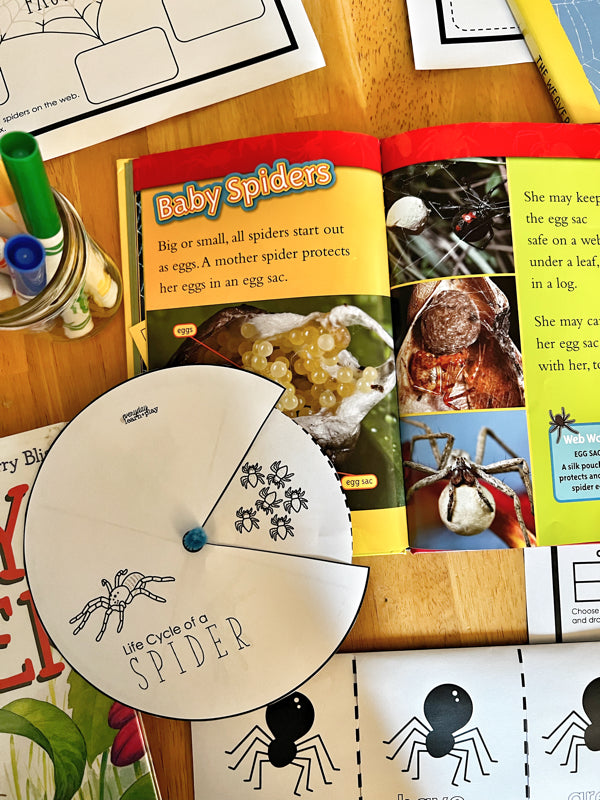 Spider Learning Learn + Explore: Spiders, an Elementary Unit Study – Everyday Learn + PLAY