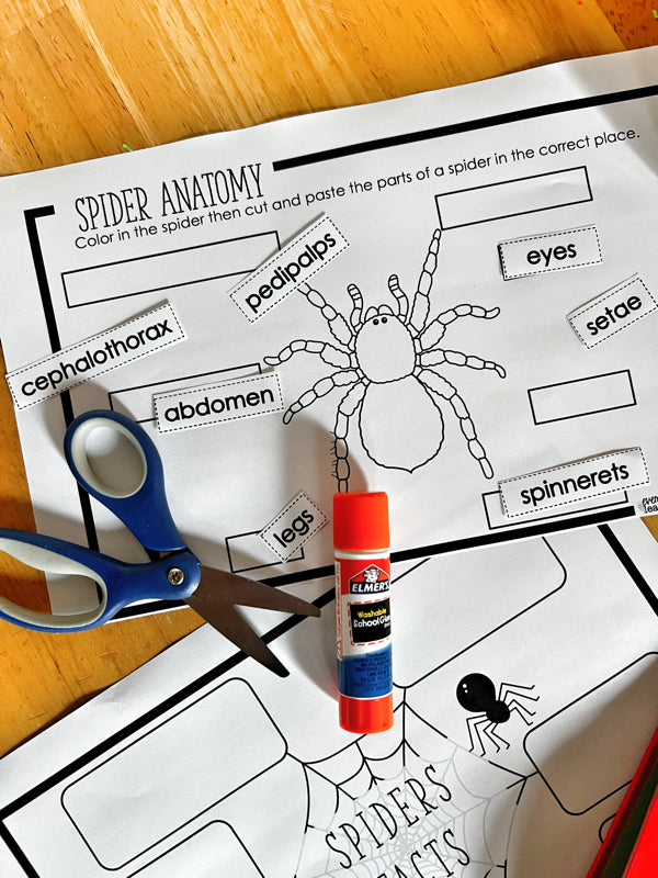 Learn + Explore: Spiders, an Elementary Unit Study