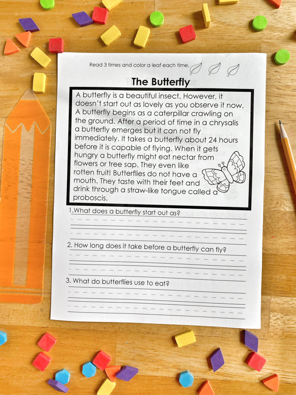 Butterfly Reading Comprehension – Everyday Learn + PLAY