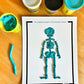 Discover + PLAY Science: The Skeletal System