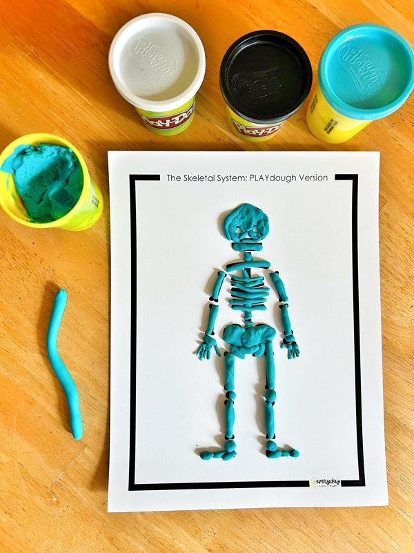 Discover + PLAY Science: The Skeletal System