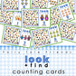 Look + Find Counting Cards