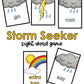 Storm Seeker Sight Word Game