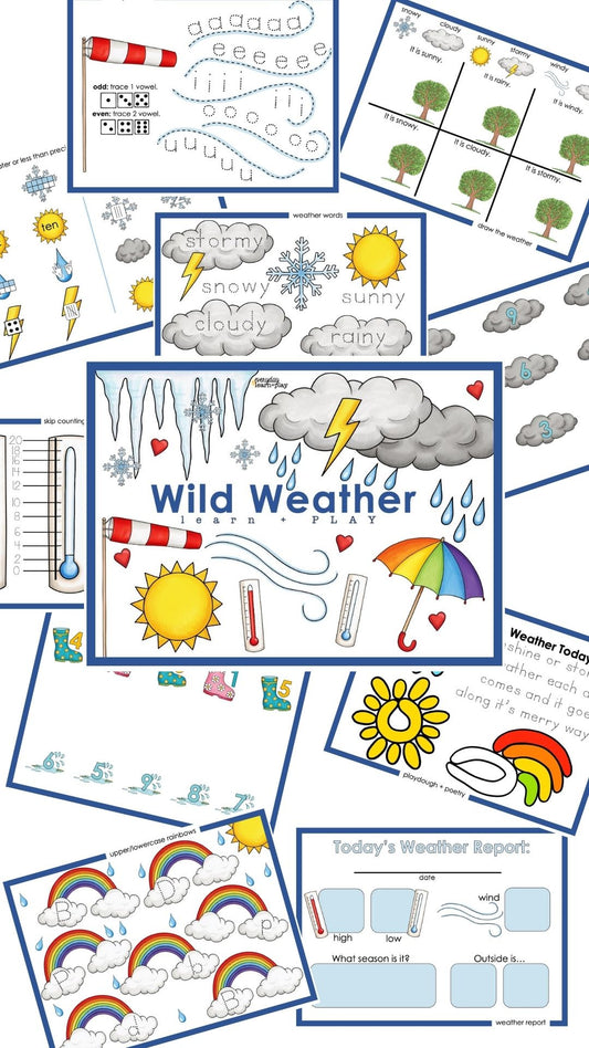 Wild Weather Learn + PLAYmat