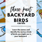 Backyard Birds Three Part Cards