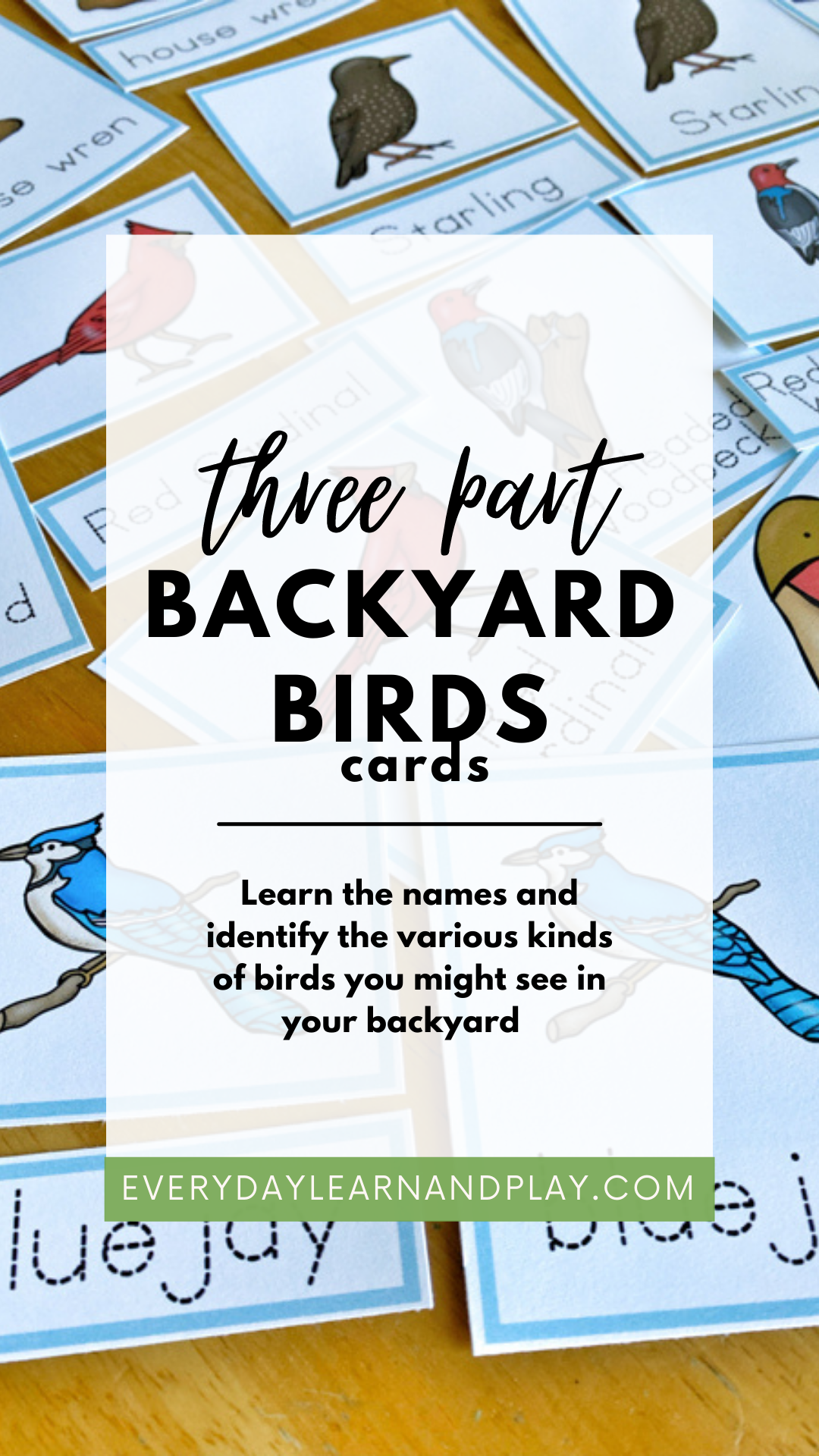 Backyard Birds Three Part Cards