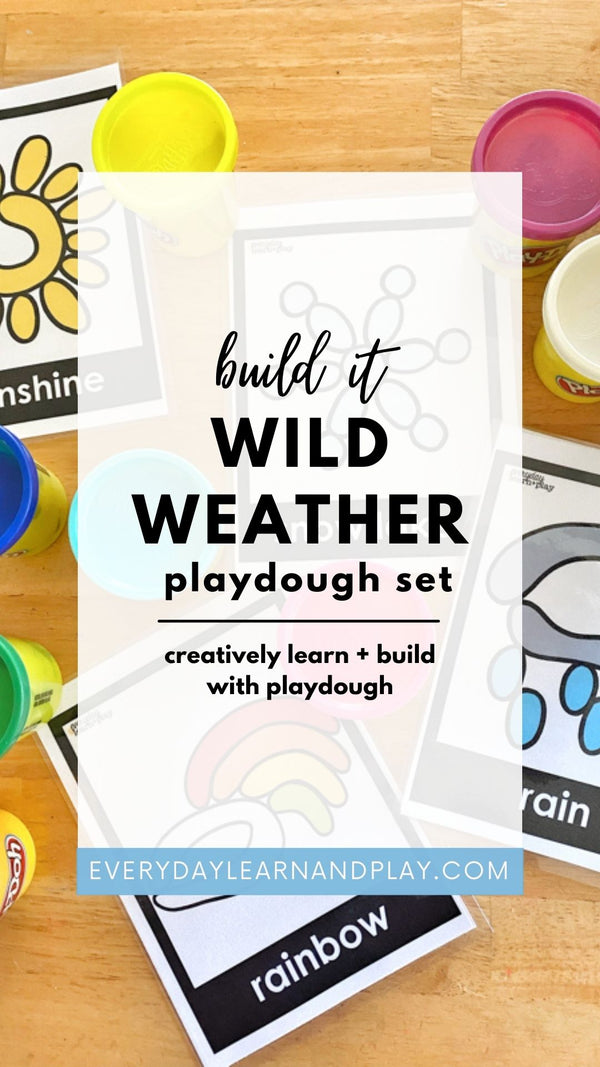 Build It - Wild Weather – Everyday Learn + PLAY