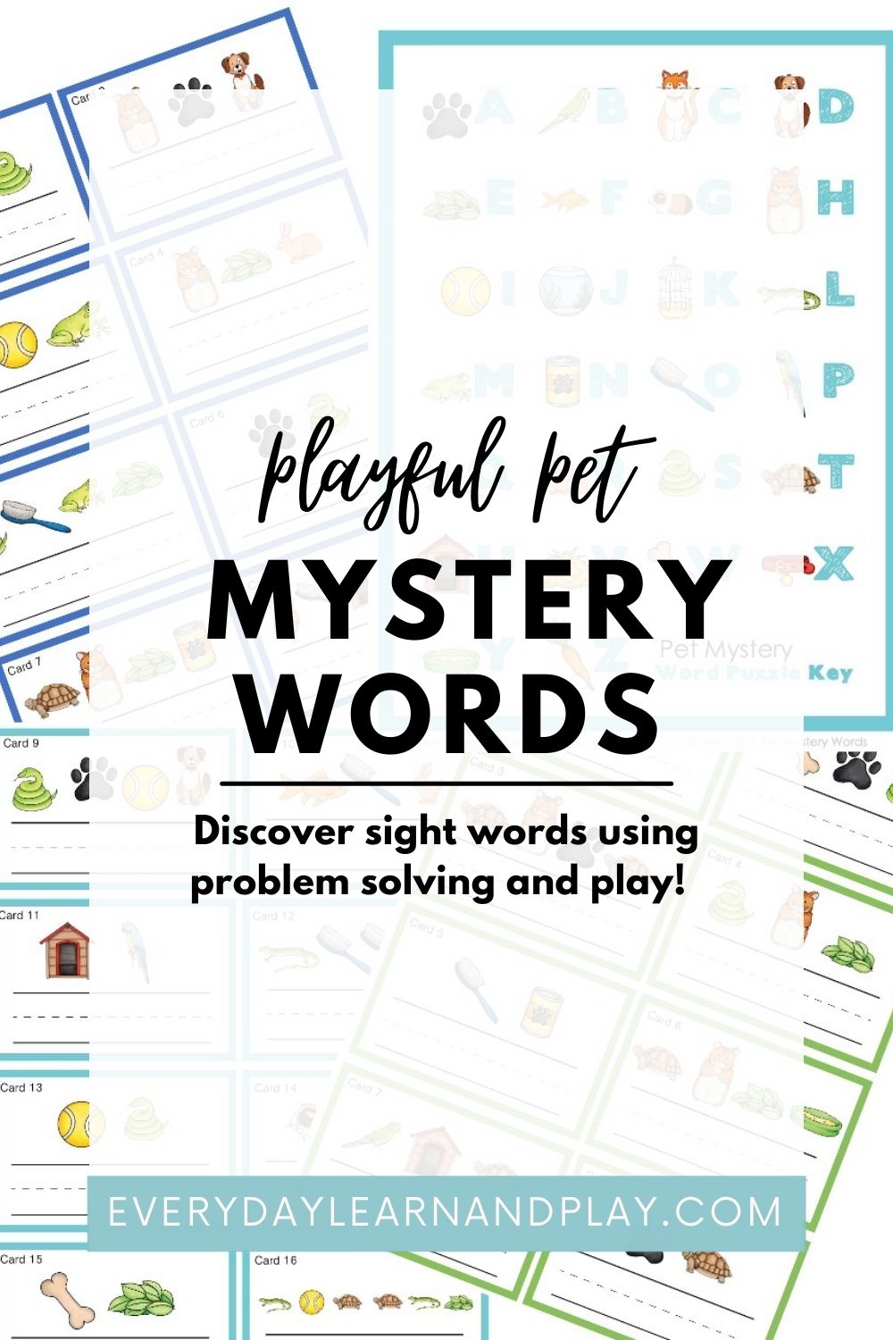 Playful Pet Mystery Words